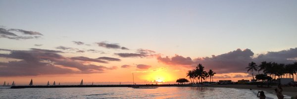 lef Profile Banner