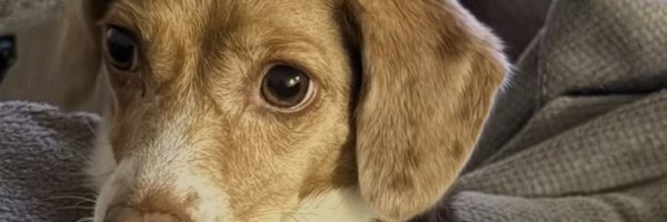 jkf_5 Profile Banner