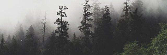 nitangel93's profile banner image
