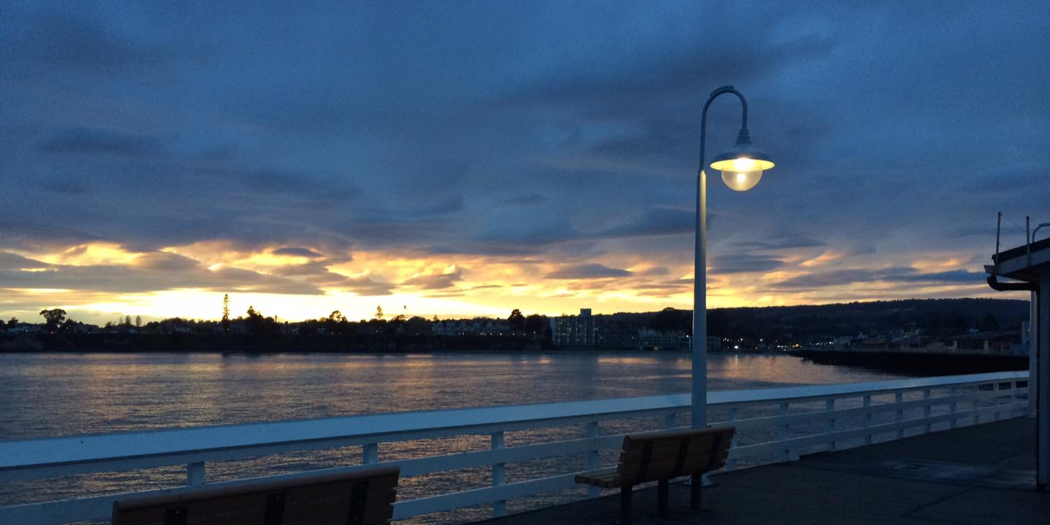 Kati Bartkowski banner