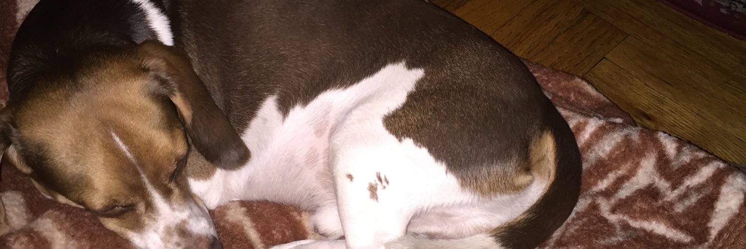 ElequemedoG's profile banner image