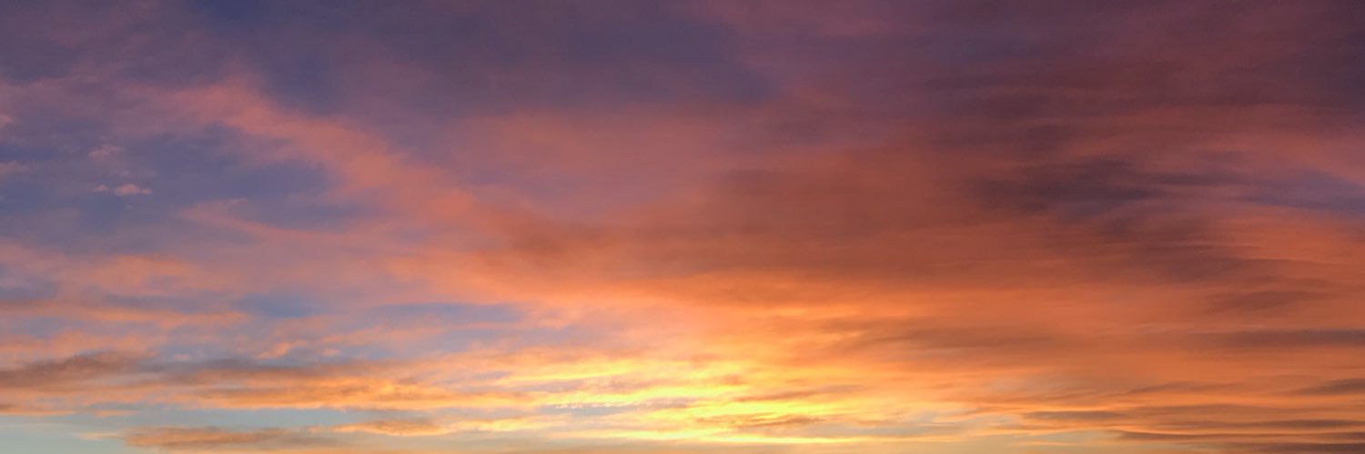 micadiflorio's profile banner image
