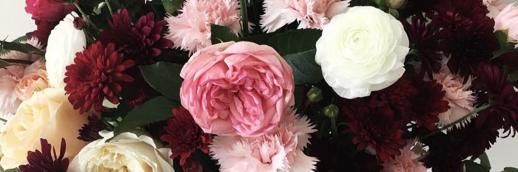 janeth_tl's profile banner image