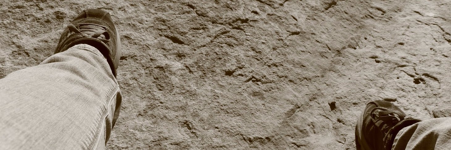 mfraven7's profile banner image