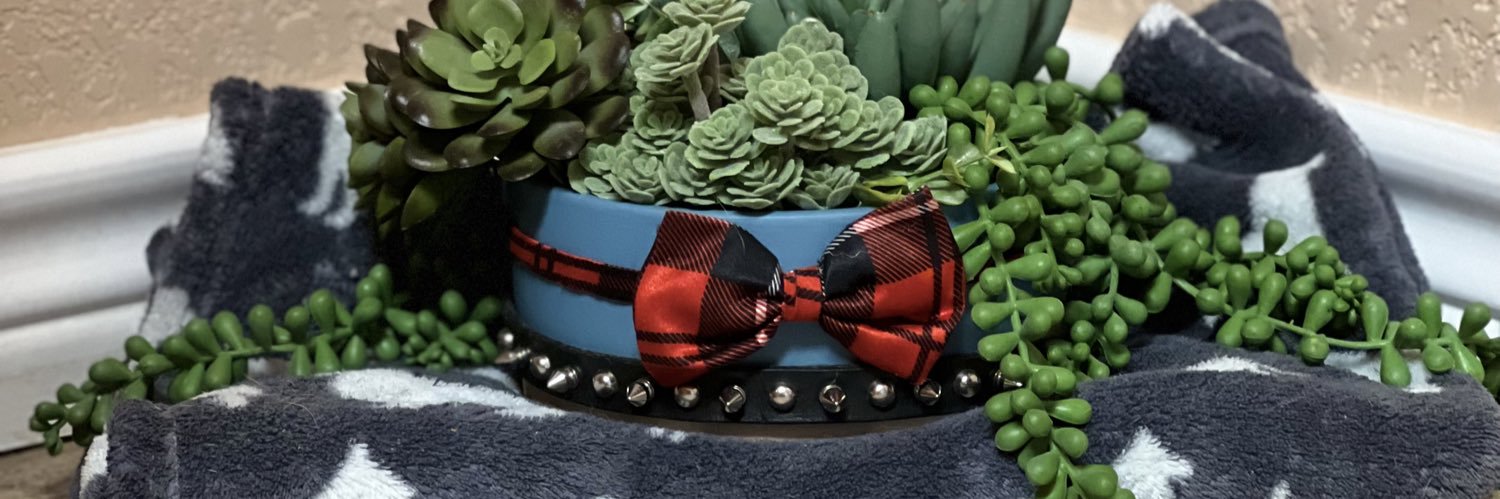 samanthadodd3's profile banner image