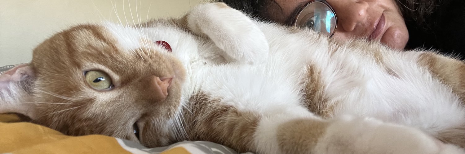 DoT1t0's profile banner image