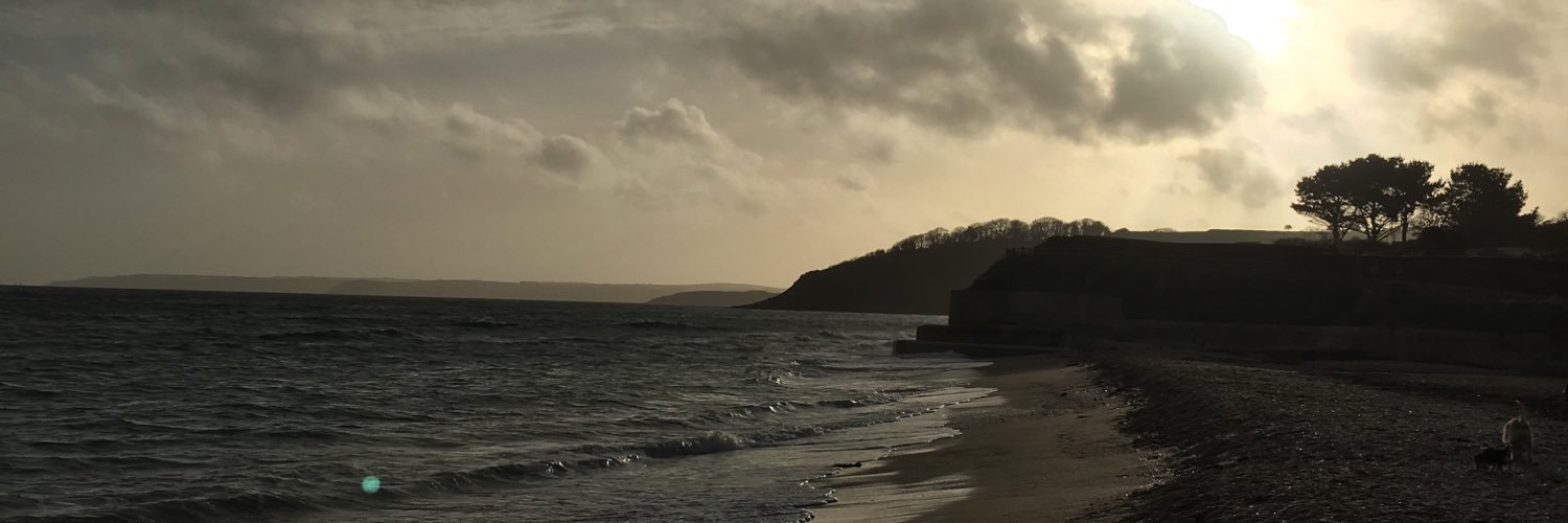 Lucy Banfield 💙 banner