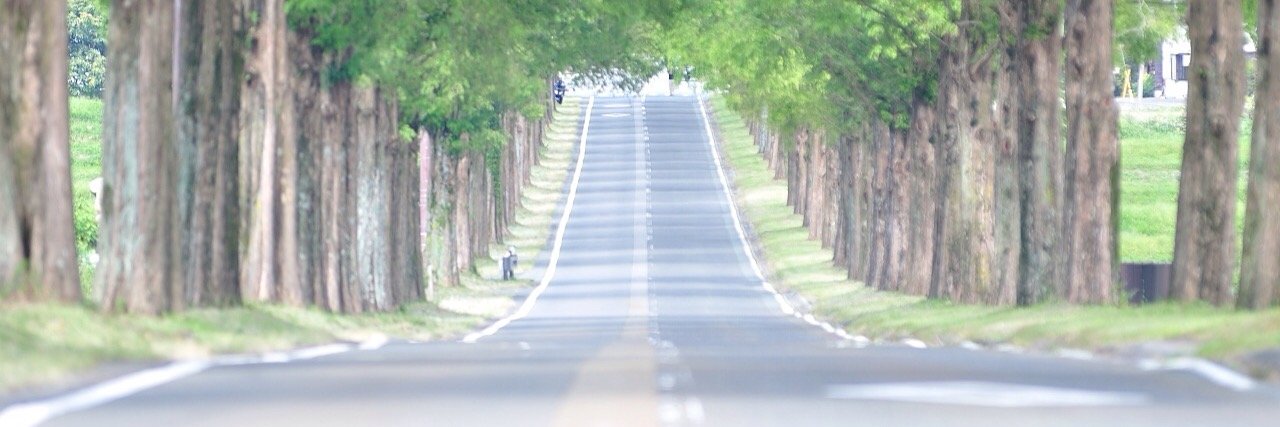 masa_nikonist's profile banner image
