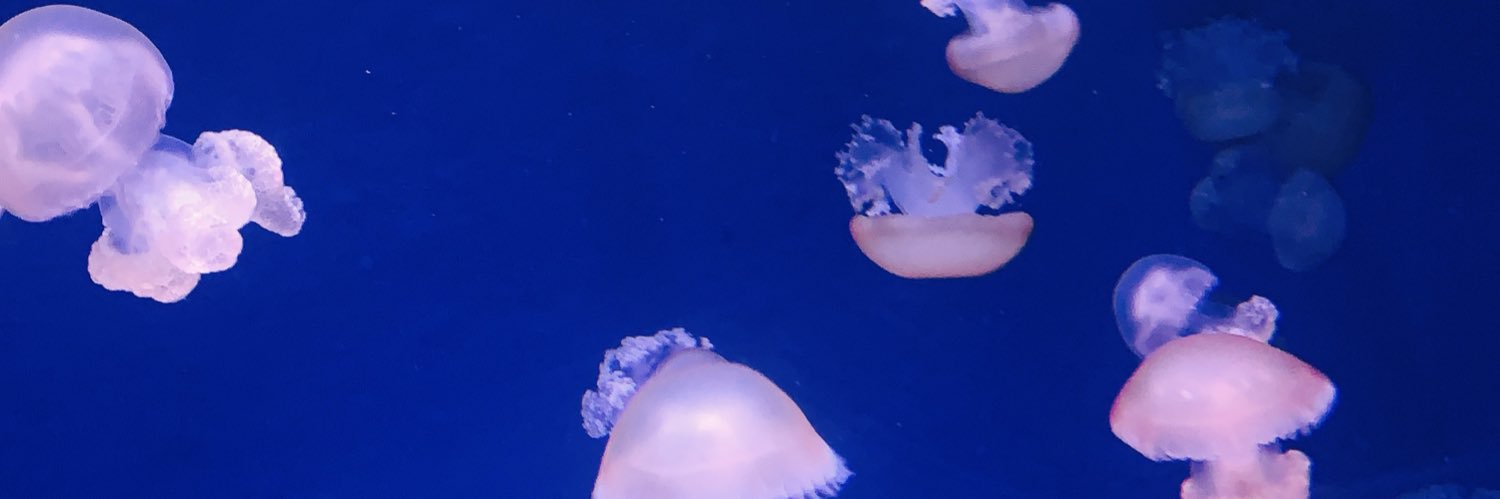 0v0_51's profile banner image