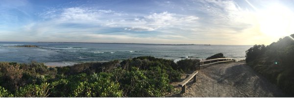 bdicko19 Profile Banner