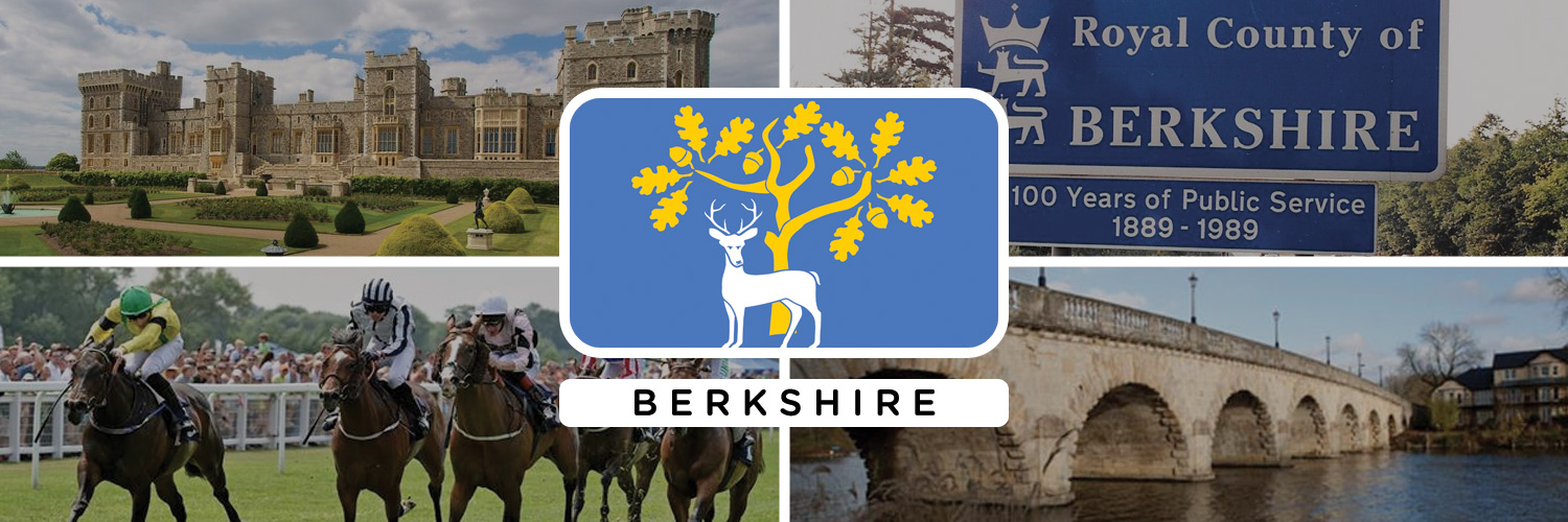 DailyBERKSHIRE's profile banner image