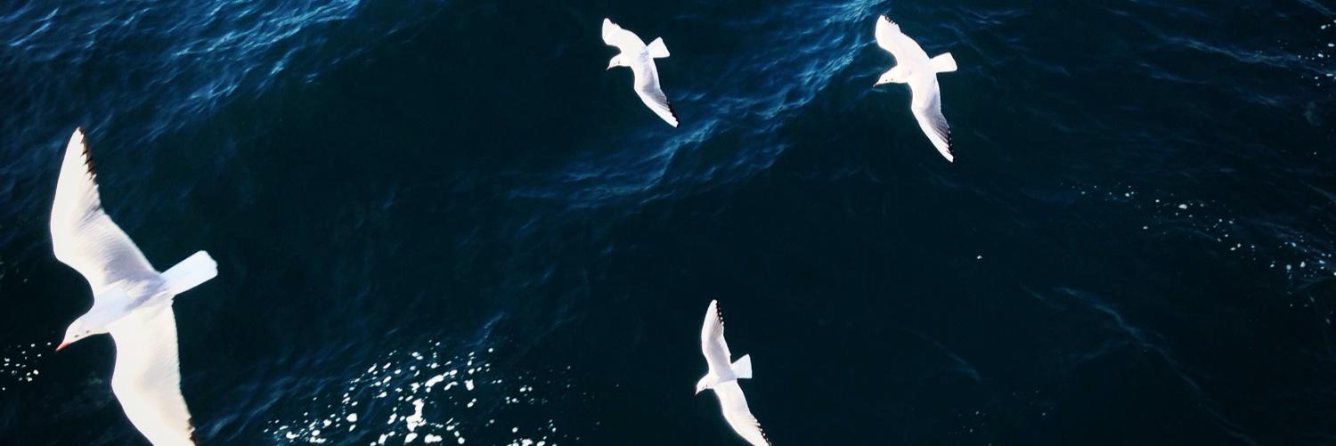 KateCtweets's profile banner image