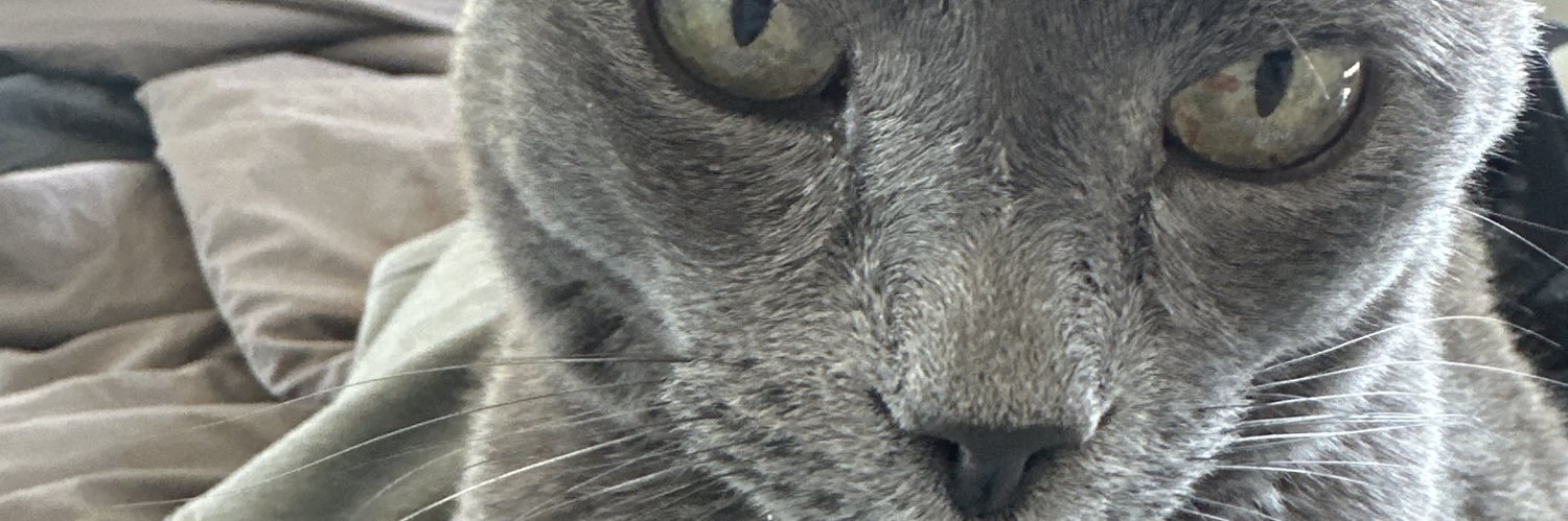 Ekimerton's profile banner image