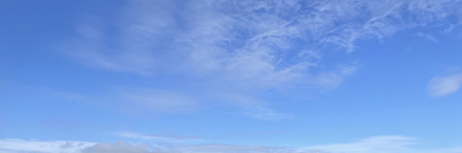 Stongunum's profile banner image