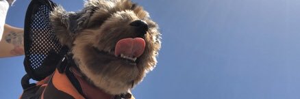 samchelius's profile banner image