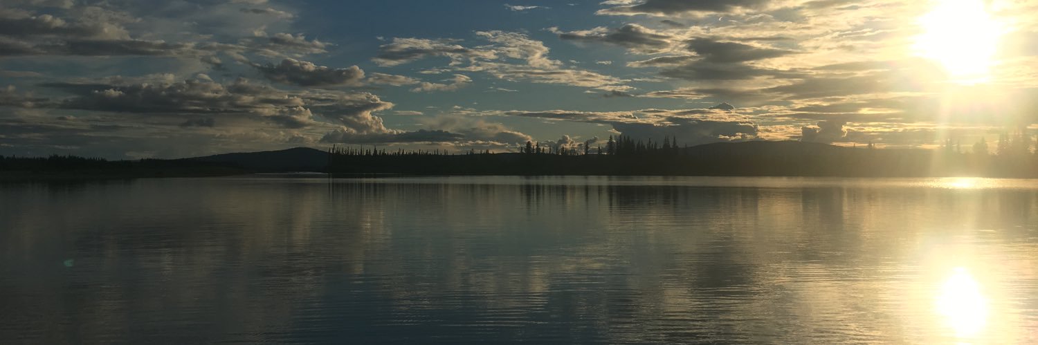 devyn_schreier's profile banner image