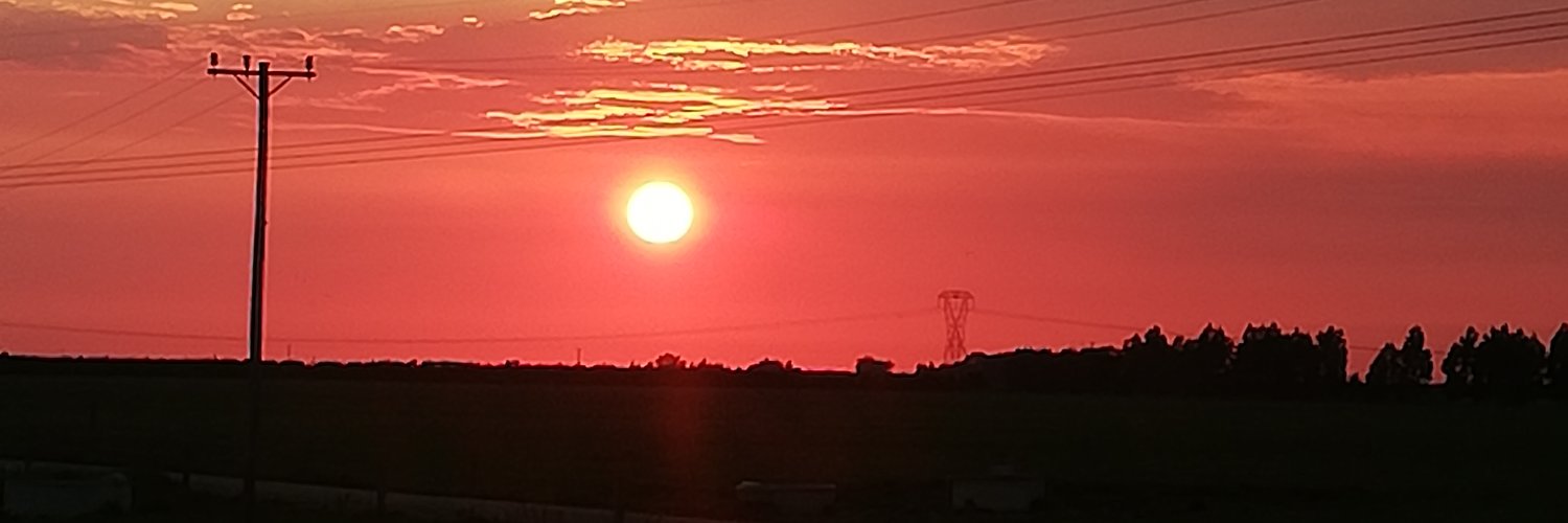 rex_jo's profile banner image