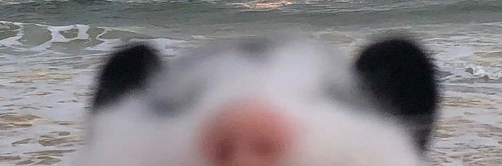 alexhallett's profile banner image