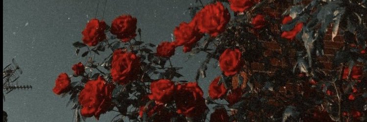 UniqueMata's profile banner image