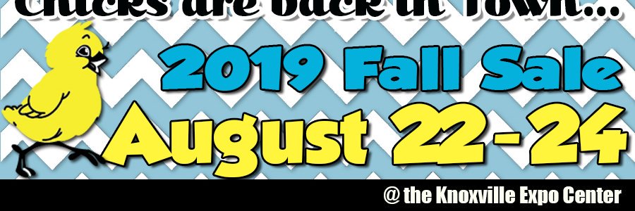 thepickychick's profile banner image