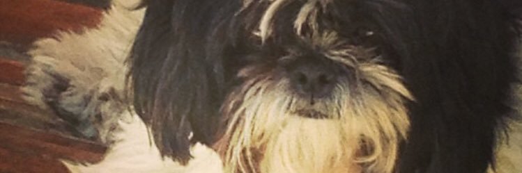 dam_jalil's profile banner image