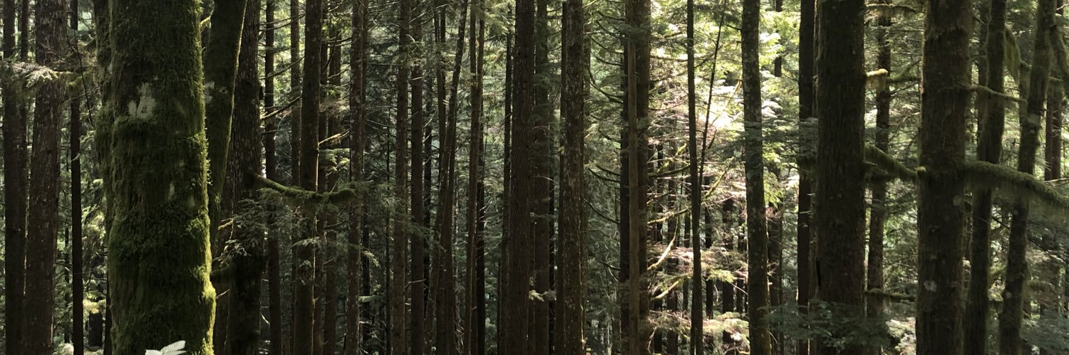 nataliealarson's profile banner image