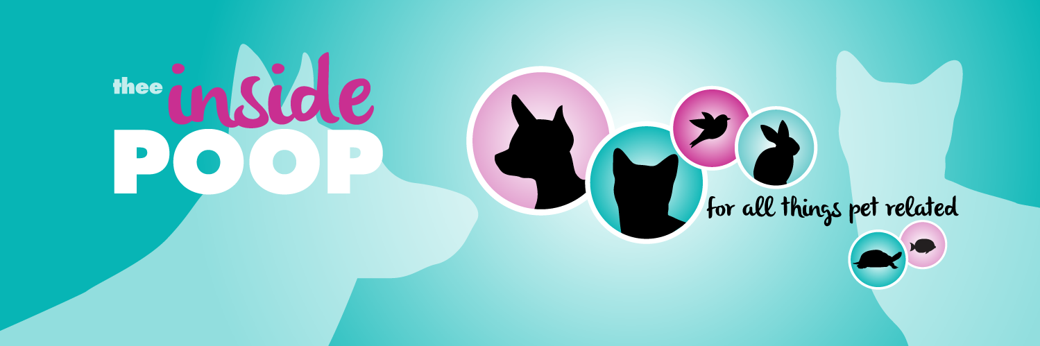 TheeInsidePoop's profile banner image