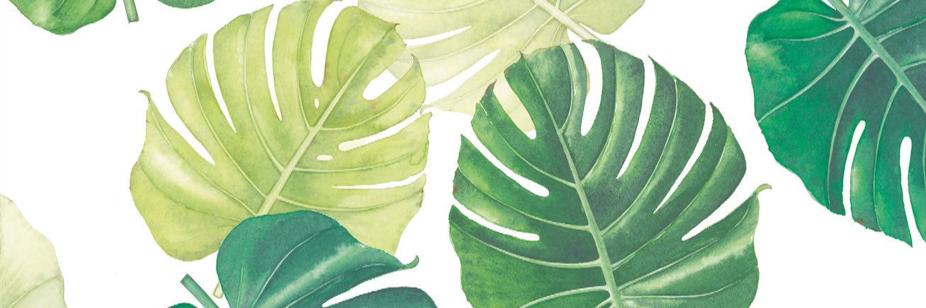 nleleern's profile banner image