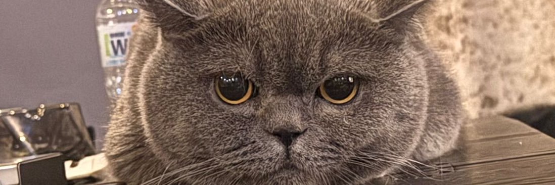 Ru2a_AL's profile banner image