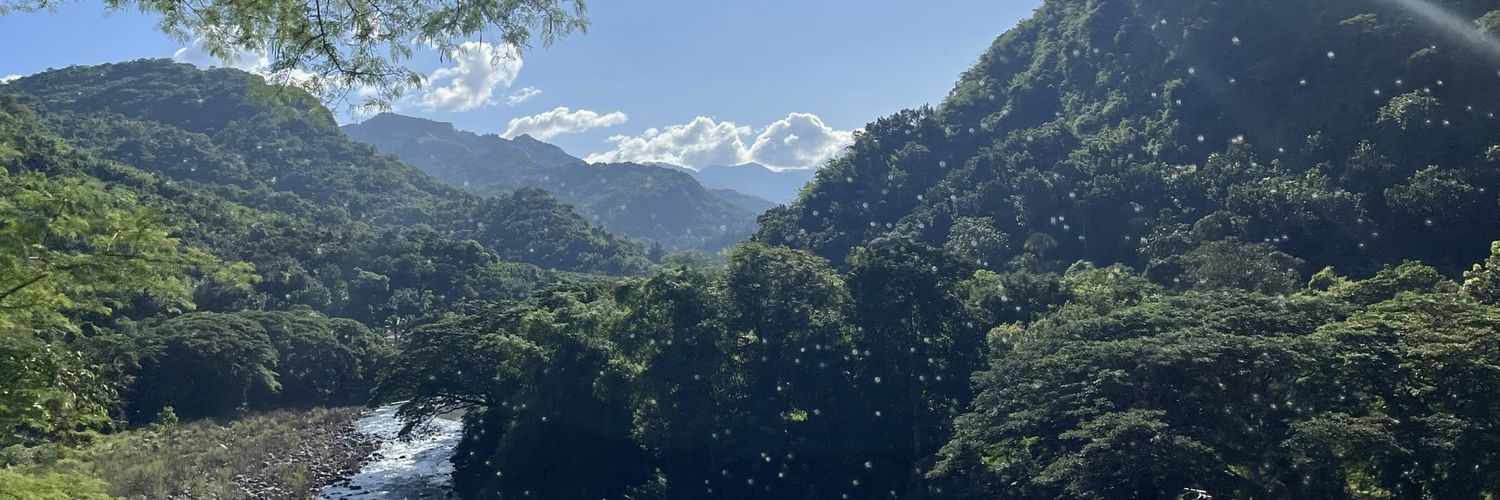 AnikrisTreena's profile banner image