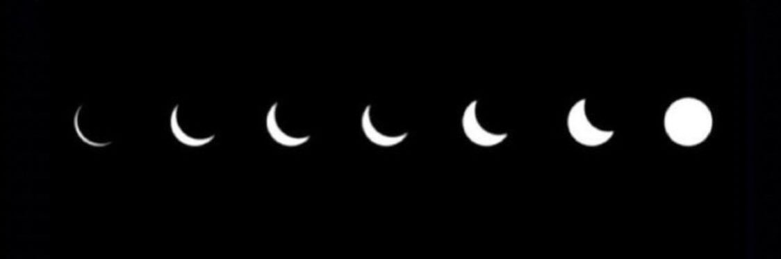 M ♛ banner