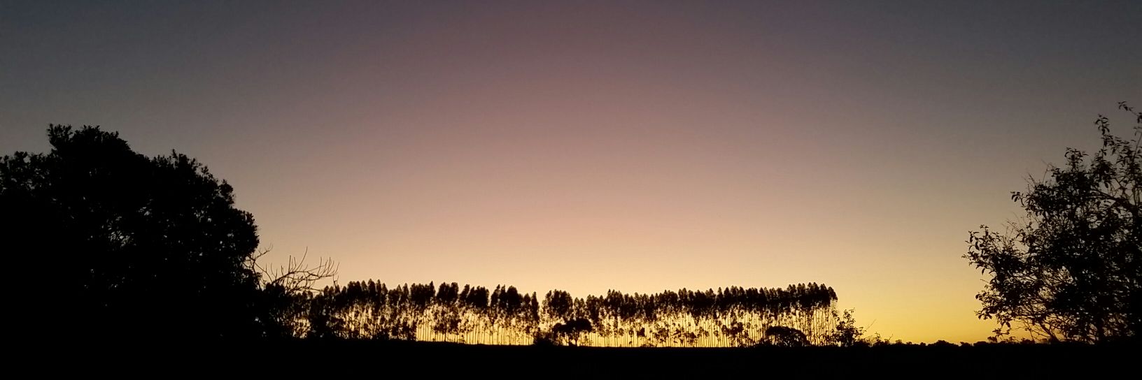 GabiSiq_'s profile banner image