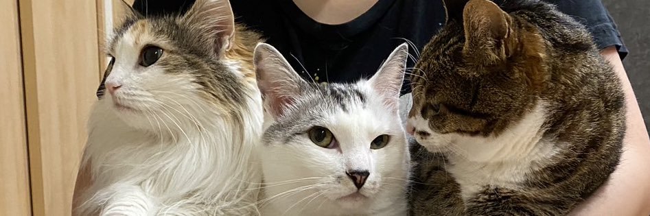 rm_1127's profile banner image