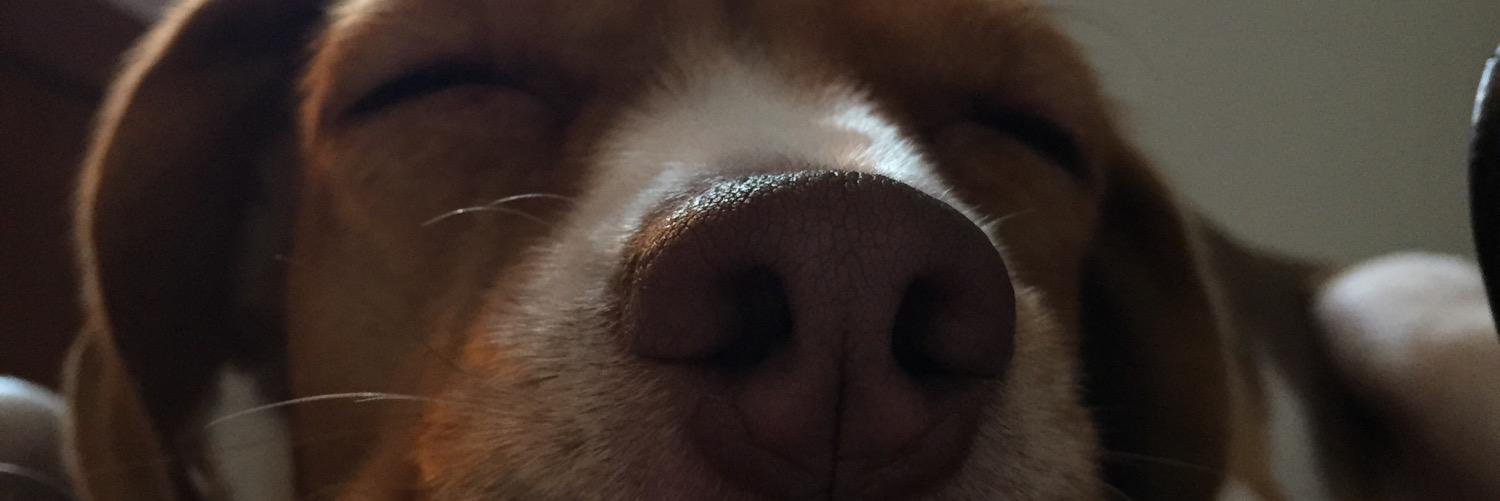 catherinecardo2's profile banner image