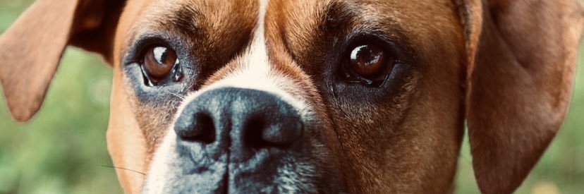 jamie_thurber's profile banner image