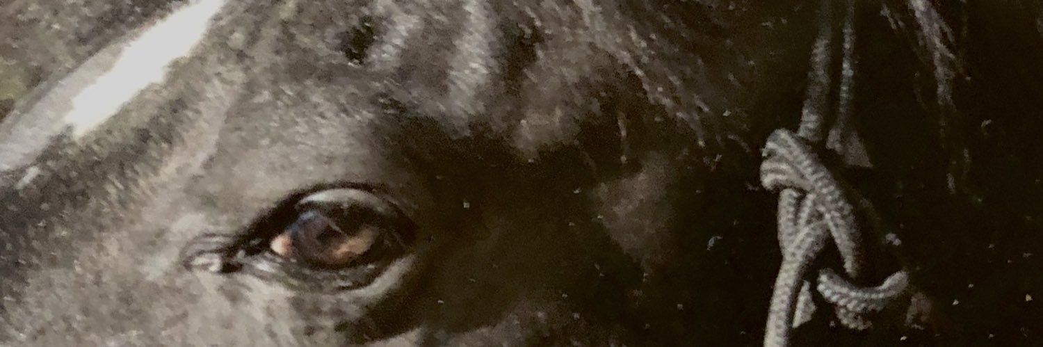 izzyb57's profile banner image