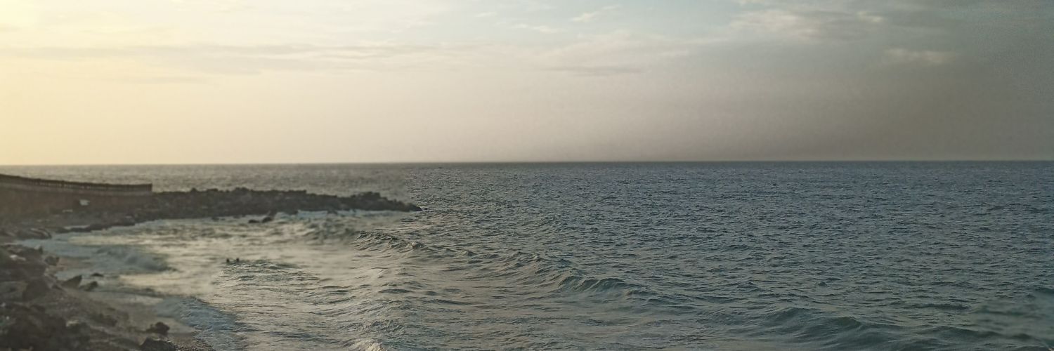 maryceleschm's profile banner image