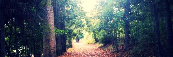 viktorkastilla Profile Banner