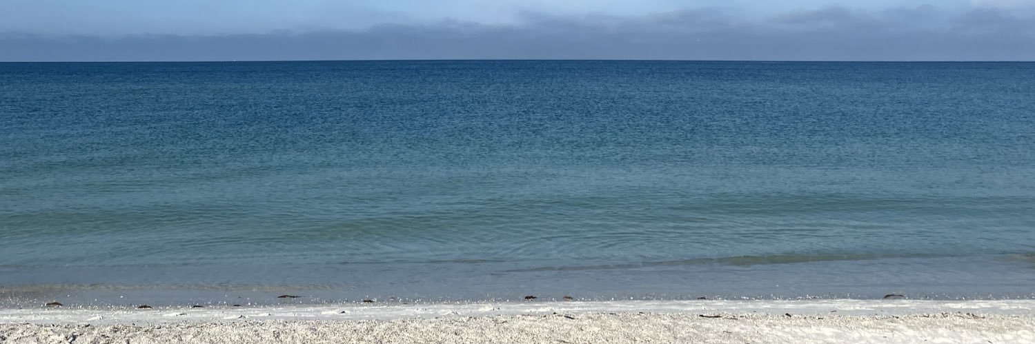 nft_texas's profile banner image