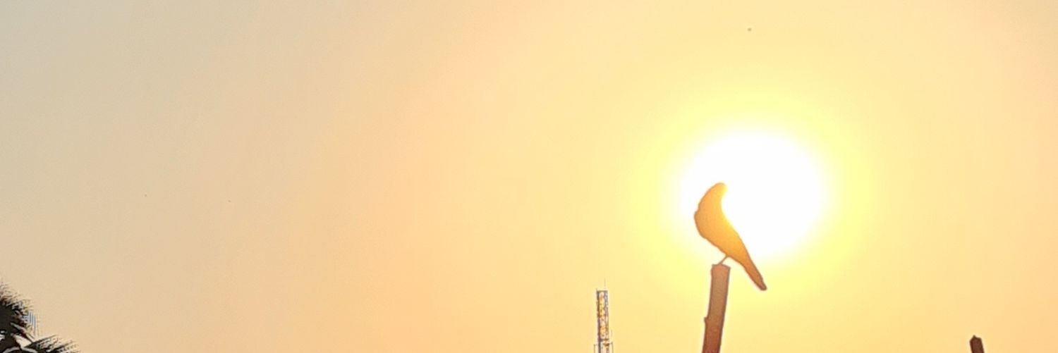 anburajtha's profile banner image