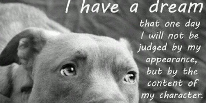 Mrs. Rajon Rondo! :) banner