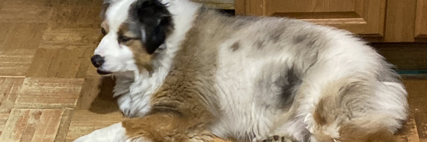 DakotaMagic_'s profile banner image