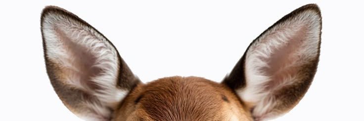 moonlouluv's profile banner image