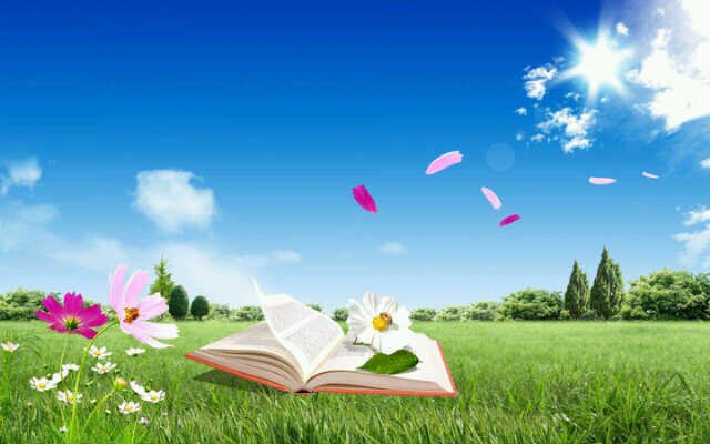 ecy_DA's profile banner image