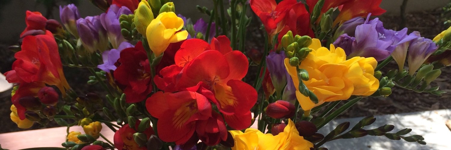 beck1455's profile banner image