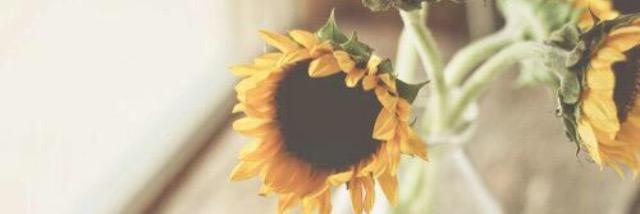 HannaCounts's profile banner image