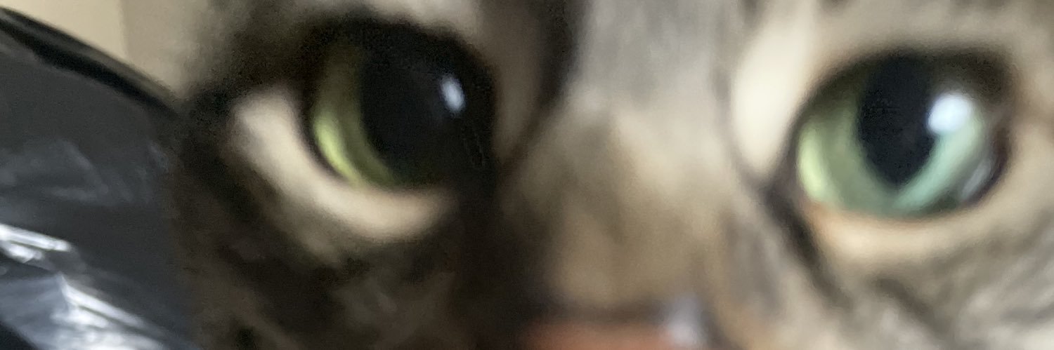 savannahav's profile banner image