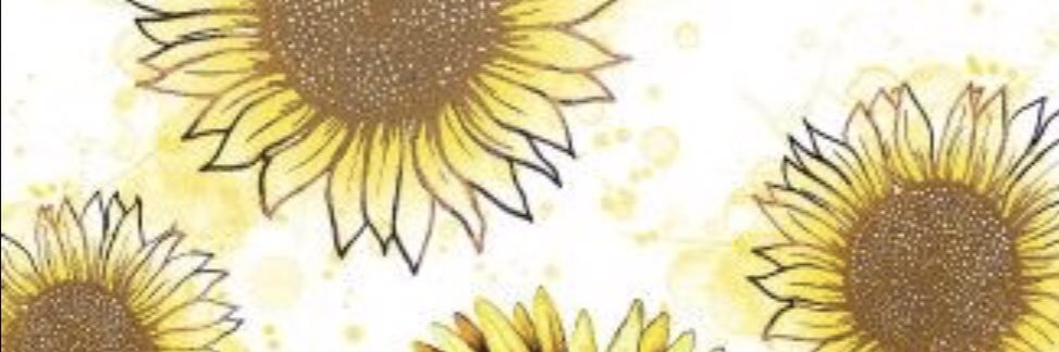 allisonmm09's profile banner image