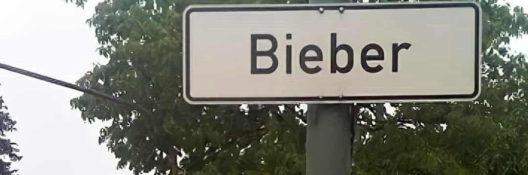 America☕️ | BelieberxDual banner