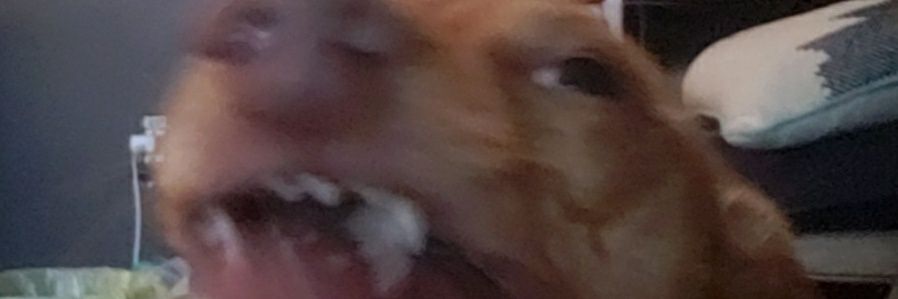 ShiggyTheSlimeDemon banner